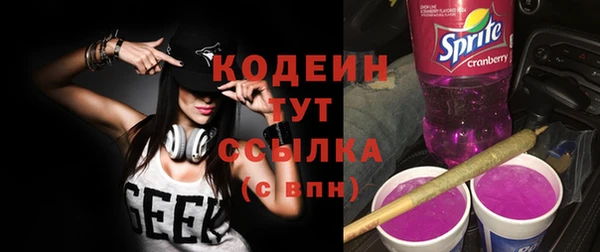 амф Верхний Тагил