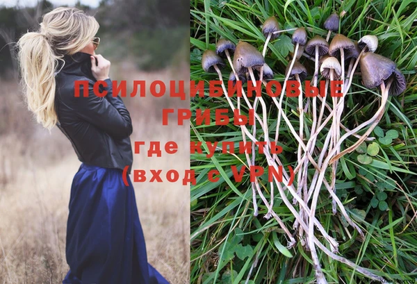 2c-b Богородицк