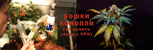 амф Верхний Тагил