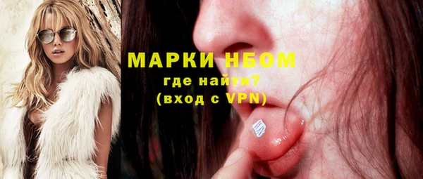 амф Верхний Тагил
