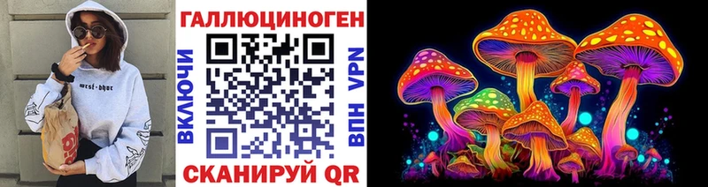 Галлюциногенные грибы прущие грибы  Вязьма 